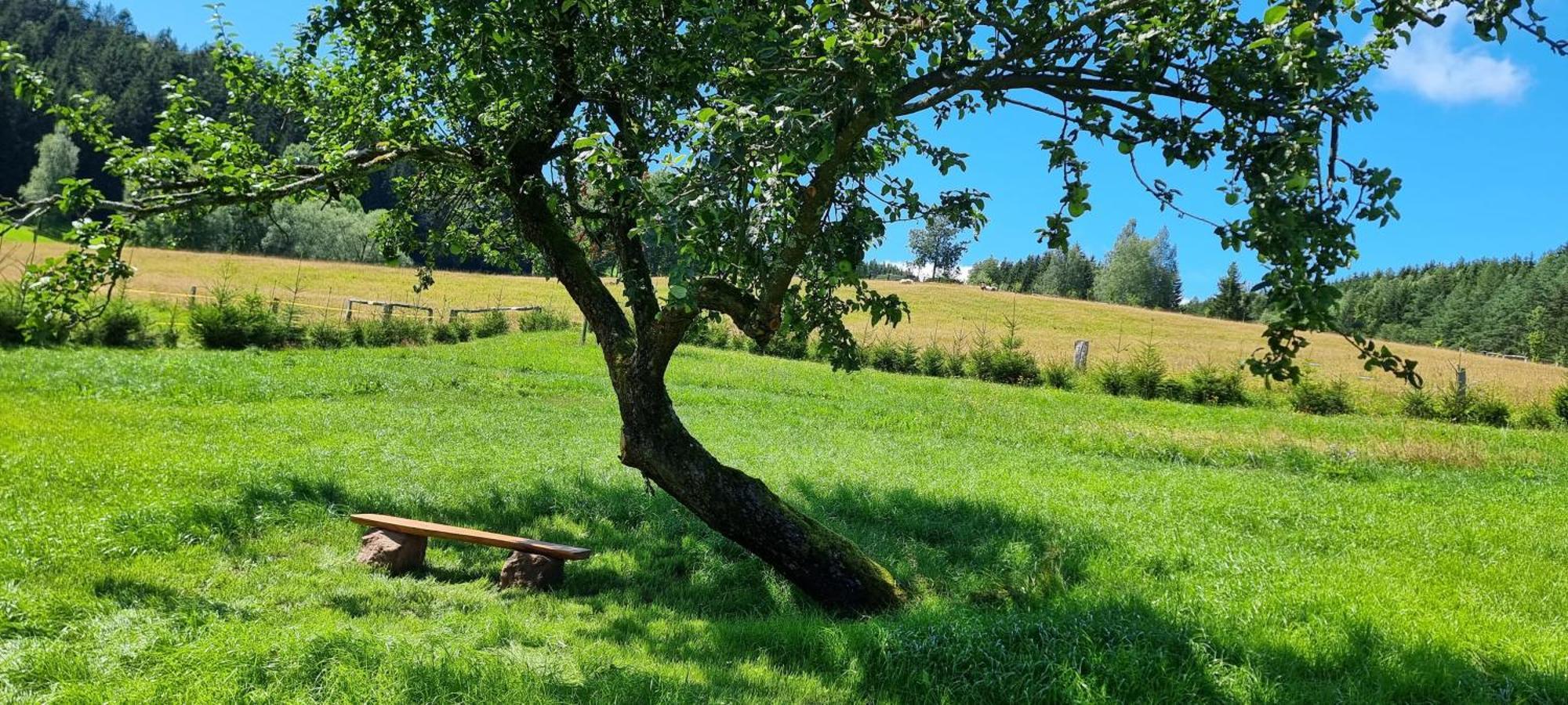 Apartmán Chalupa Vapenka - Kapacita 12 Osob Stárkov Exteriér fotografie